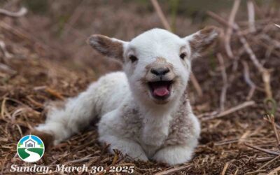 Sunday Morning Worship – March 30, 2025