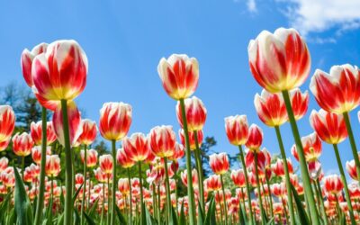 Sunday Morning Worship – May 10, 2026