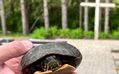 Sunday Morning Worship – August 23, 2026