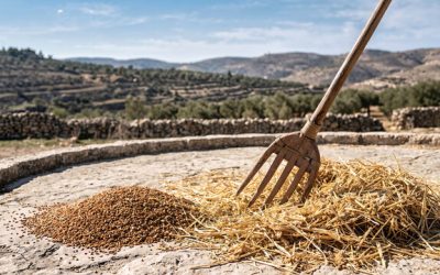 Sunday Morning Worship – October 11, 2026